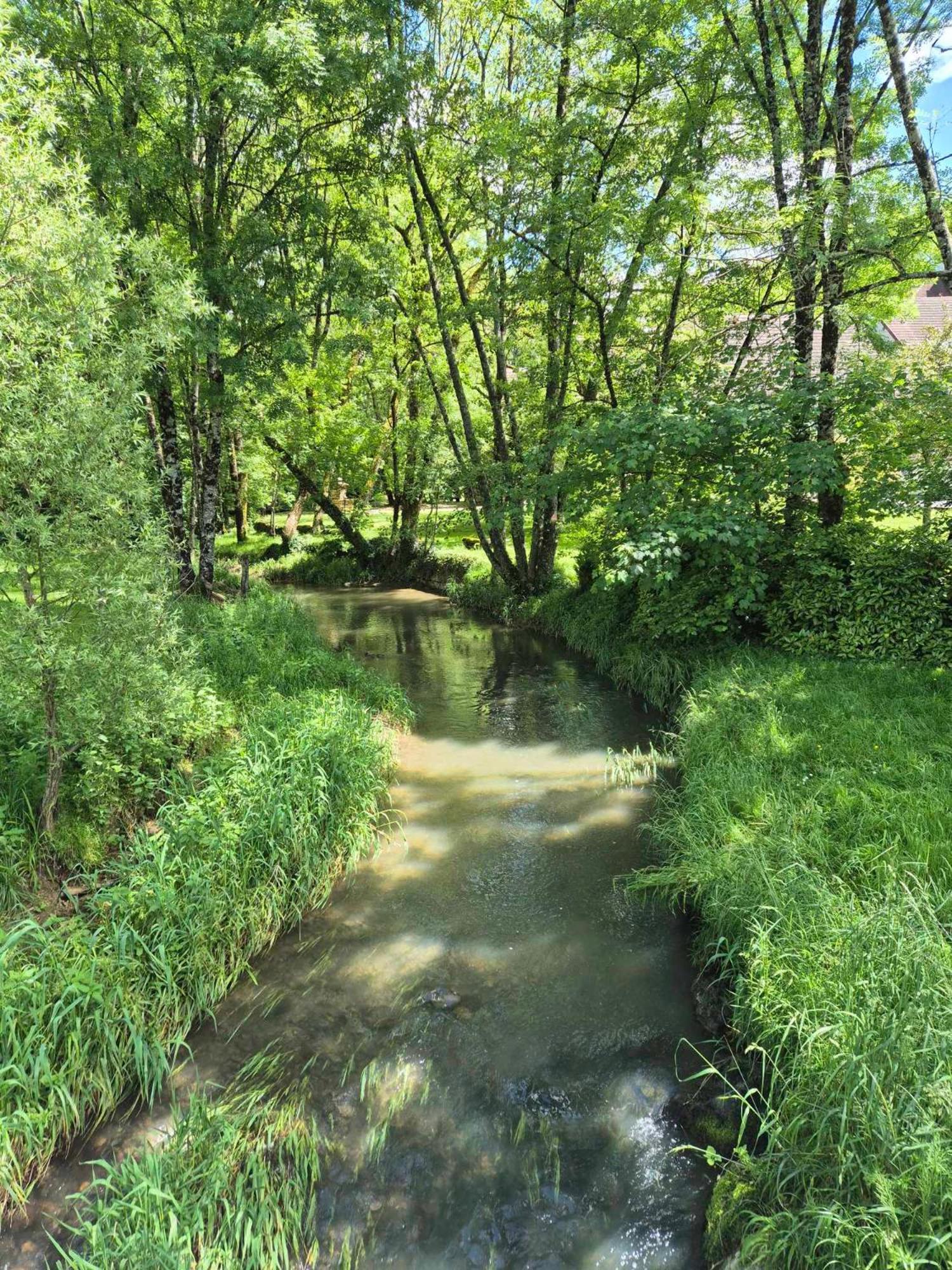 Au Lavoir Du Serein "La Billaude" Et "La Langouette" Saint-Germain-lès-Arlay Eksteriør billede